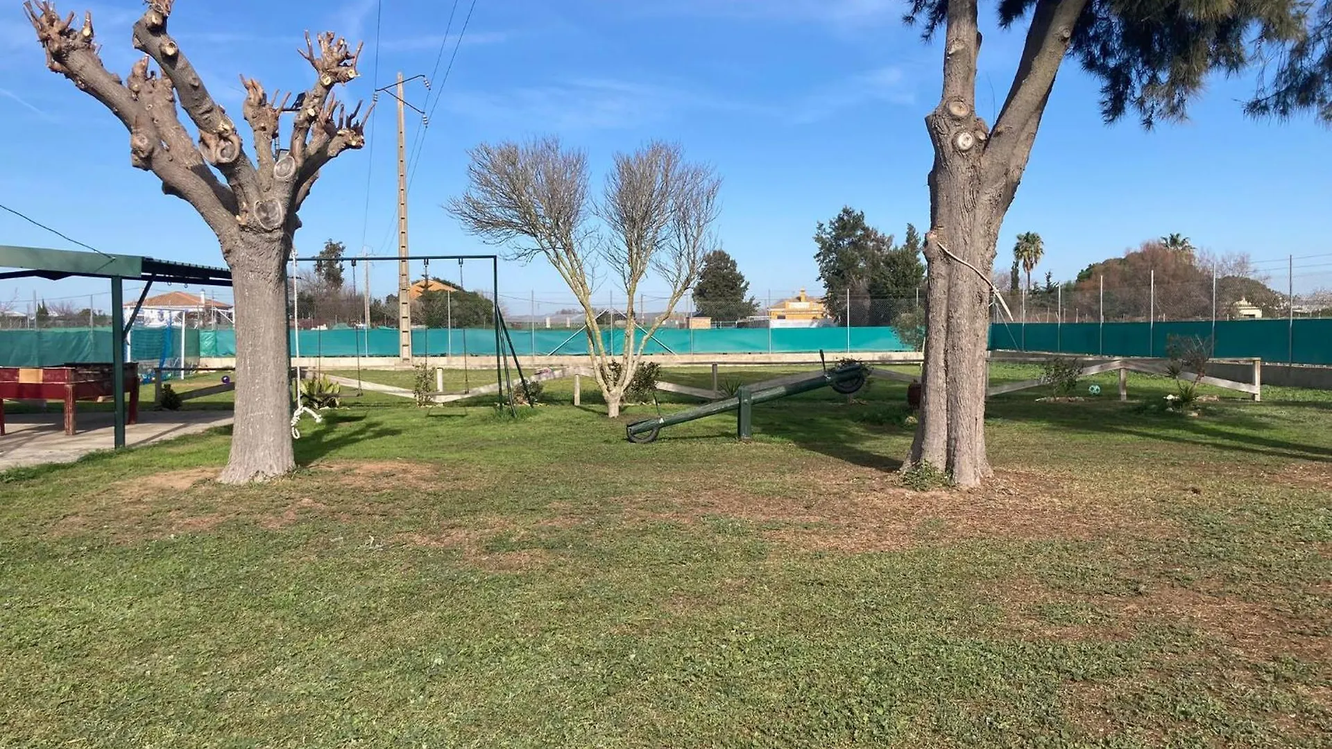 צ'יפיונה Finca El Coki